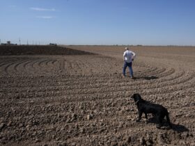 climate website employees laid off : NPR